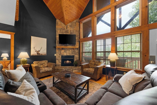 TV, fireplace, books