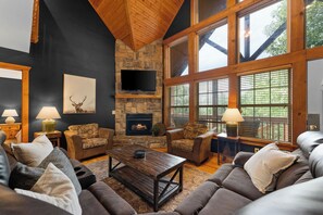 TV, fireplace, books