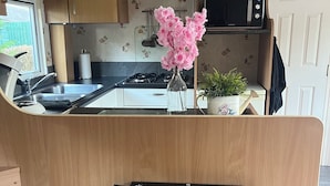 Cocina compacta con microondas integrado, estufa a gas y un lavamanos pequeño. Hay un florero con flores rosas en la encimera, y una chimenea debajo de la zona de la cocina.