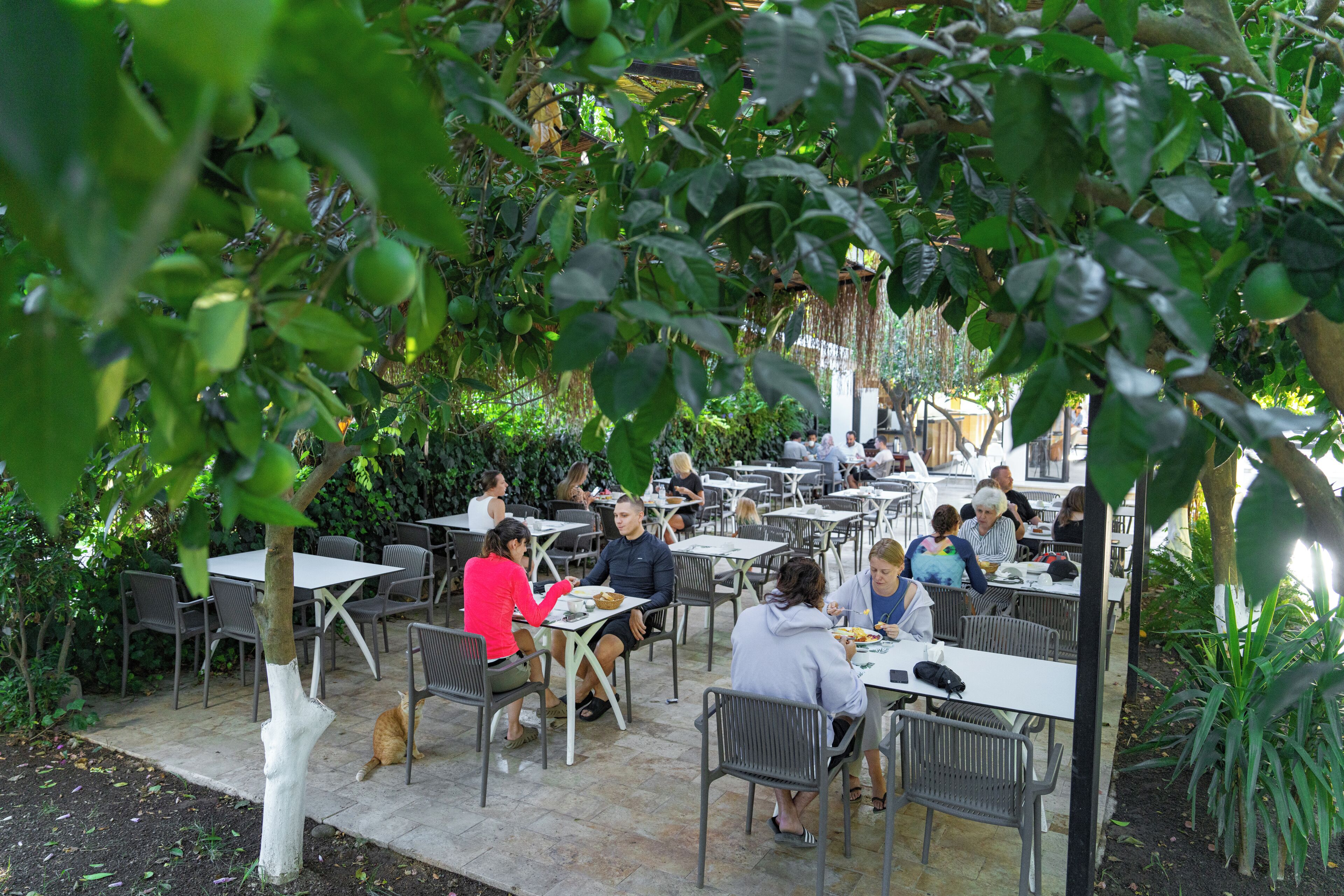 An outdoor café with tables and chairs arranged under trees, surrounded by greenery.