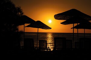 Playa privada en los alrededores, traslado desde/hacia la playa gratis