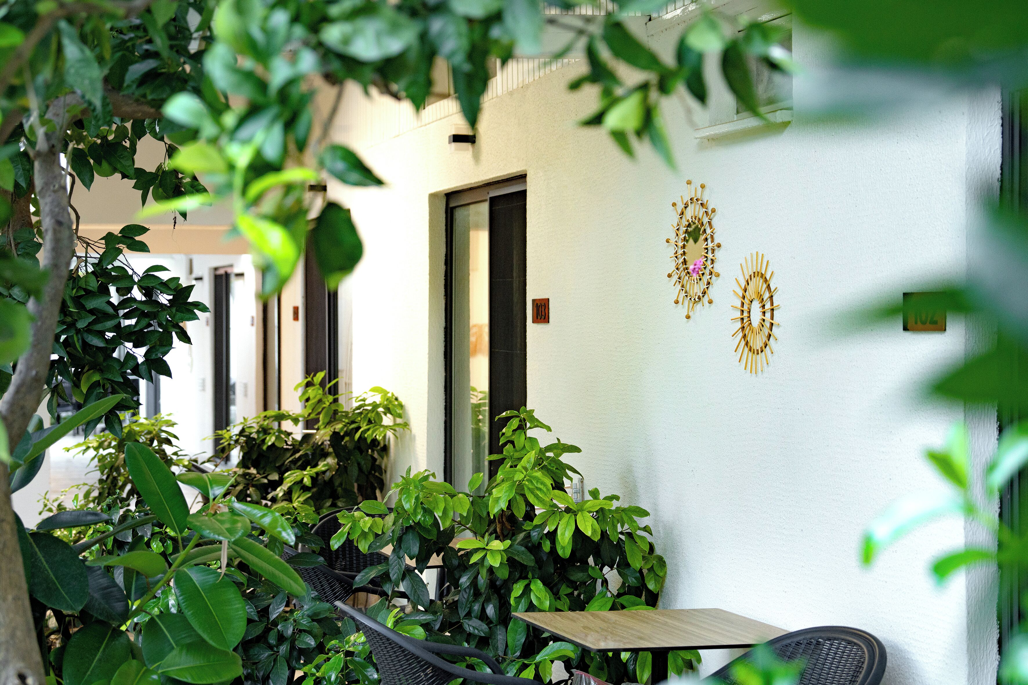 Un espacio al aire libre con mesa y sillas, rodeado de exuberante follaje y una pared blanca con detalles decorativos.