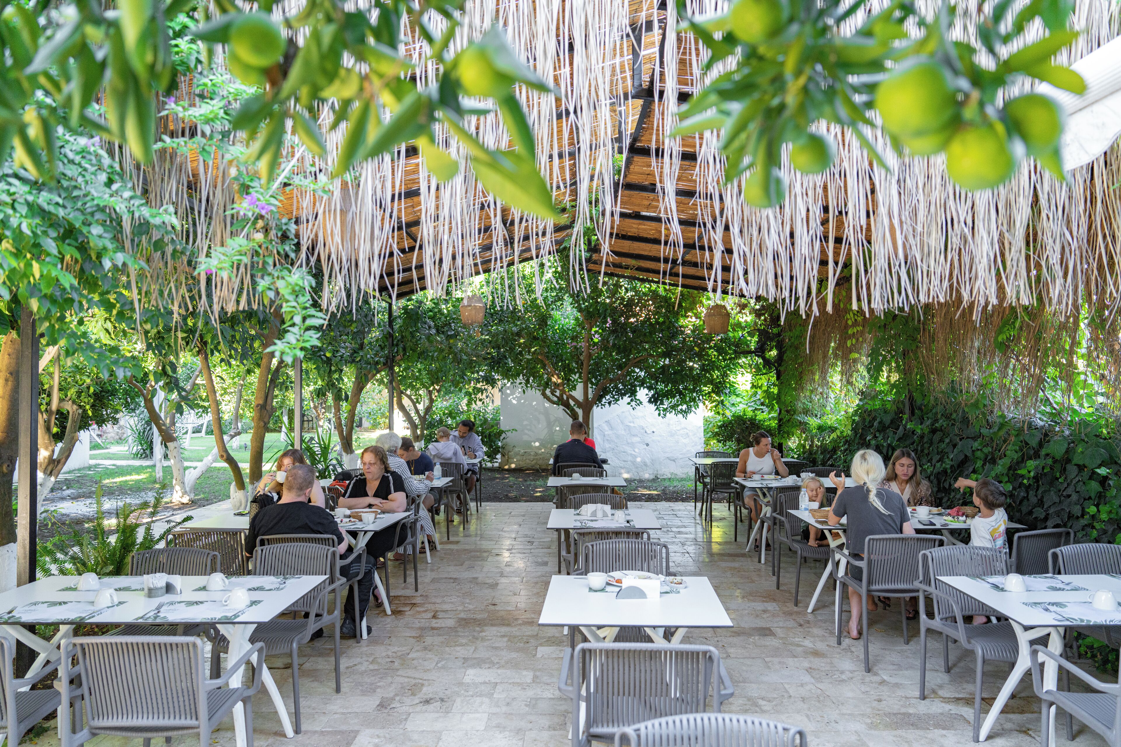 Café da manhã com buffet grátis todos os dias