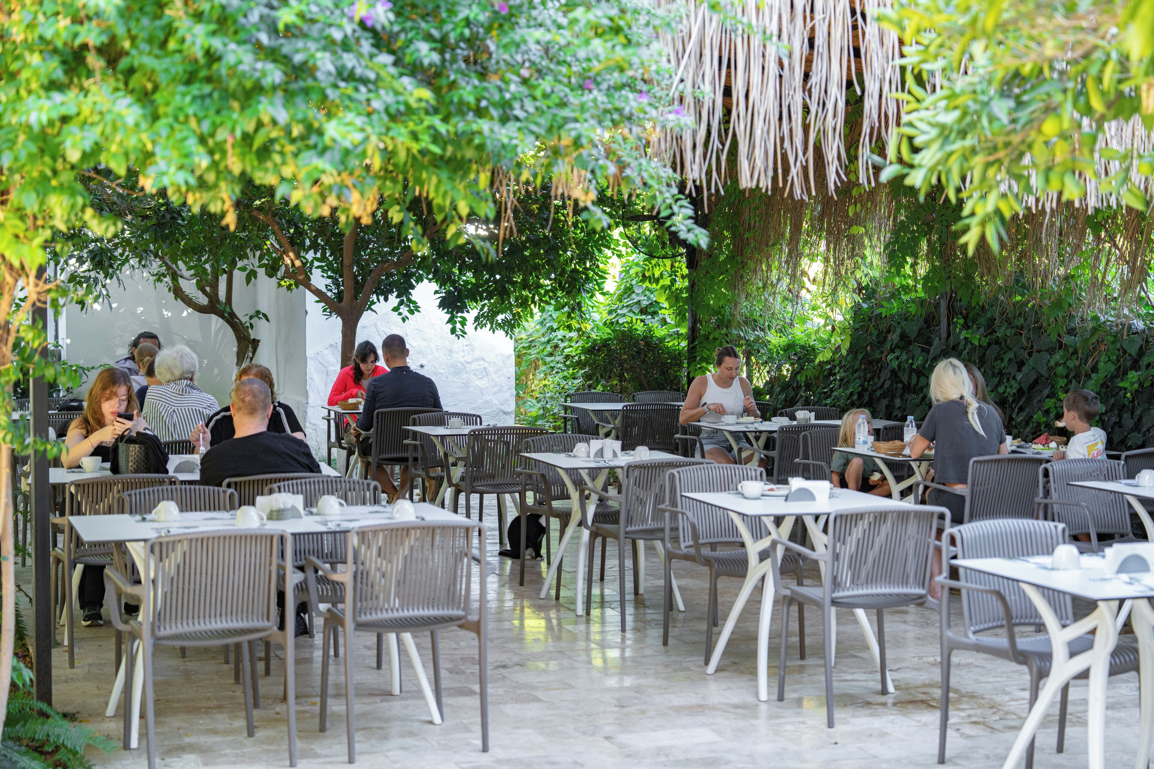 Un café al aire libre con mesas y sillas dispuestas bajo árboles, rodeado de follaje.