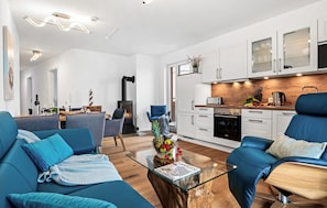 TV, fireplace - Beach front apartment in Olpenitz (Olpenitz)