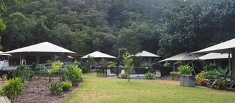 King Tent 9 Nelly bay