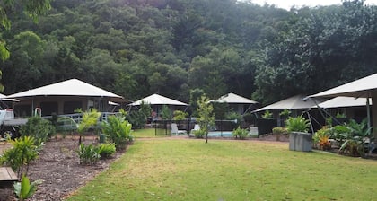 King Tent 9 Nelly bay