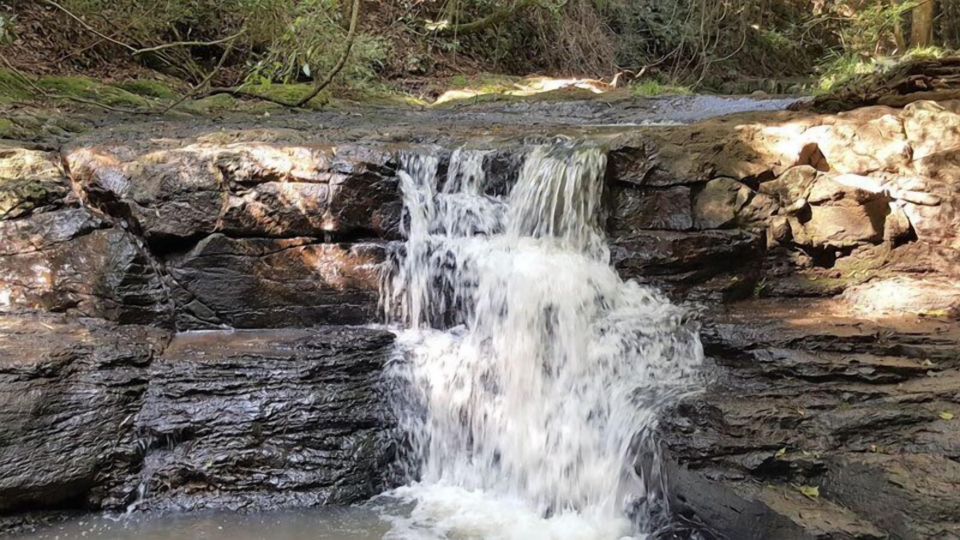 A waterfall cascading over a rocky surface with a forested background.