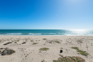 On the beach