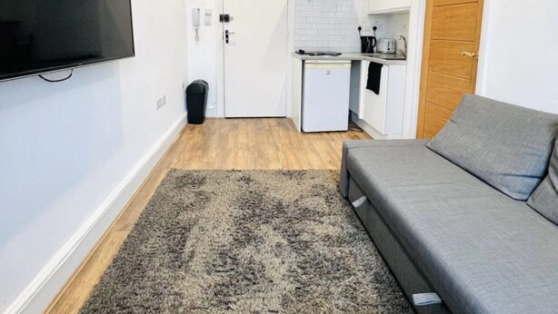 Ett kompakt bostadsutrymme med en soffa, en platt-TV, ett litet pentry och en liten matta.