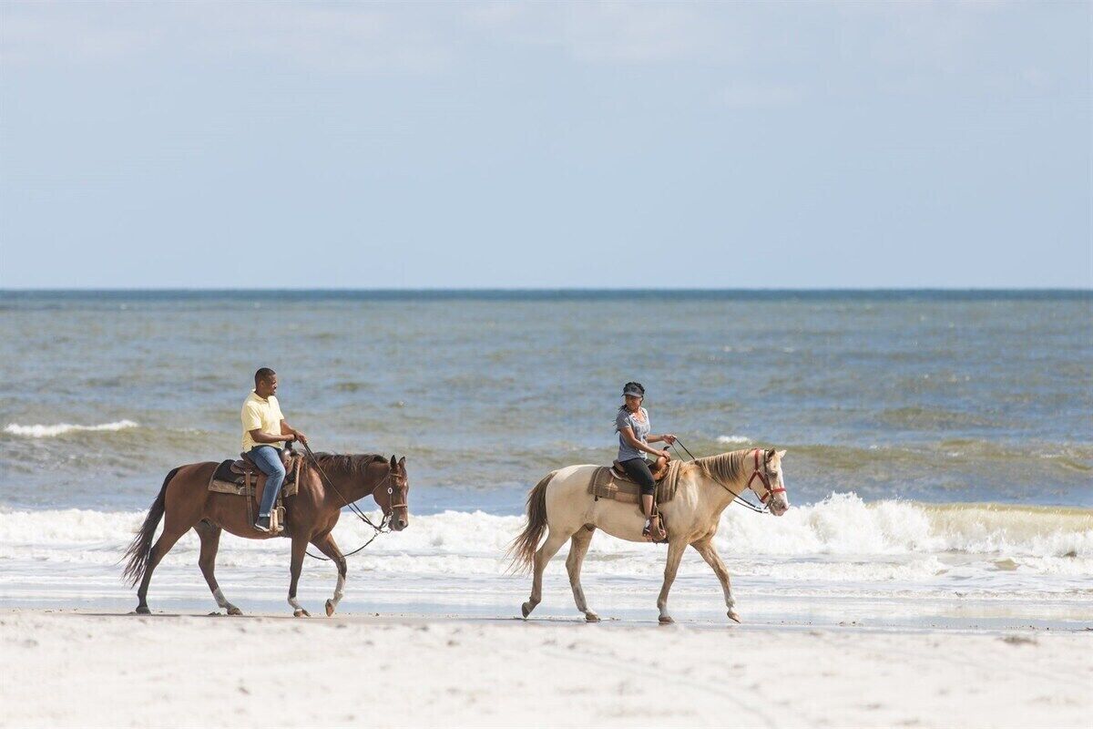 Deux personnes à cheval sur une plage, avec l  ’océan en arrière-plan.