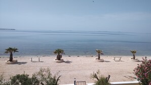 A beach with palm trees and benches. - Ferienwohnung Direkt am Meer Erste Reihe Insel Vir 25km von Zadar (Vir)