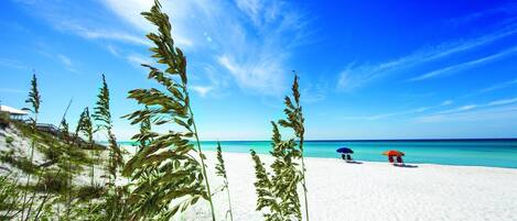 Playa