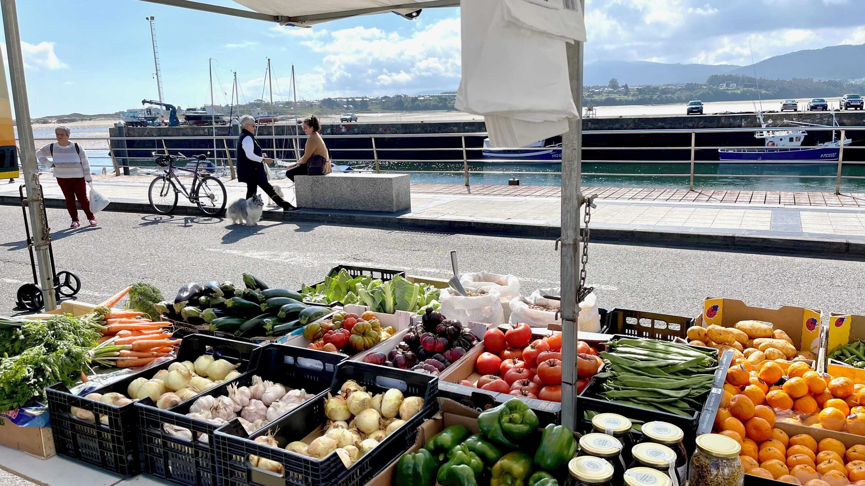 Uma banca de mercado com produtos frescos, incluindo cenouras, cebolas, tomates e pimentões verdes.