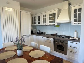 Fridge, microwave, oven, stovetop - Villa Vicani - 2-bedroom villa in Ripenda Kras with WiFi, AC and swimming pool (Ripenda Kras)