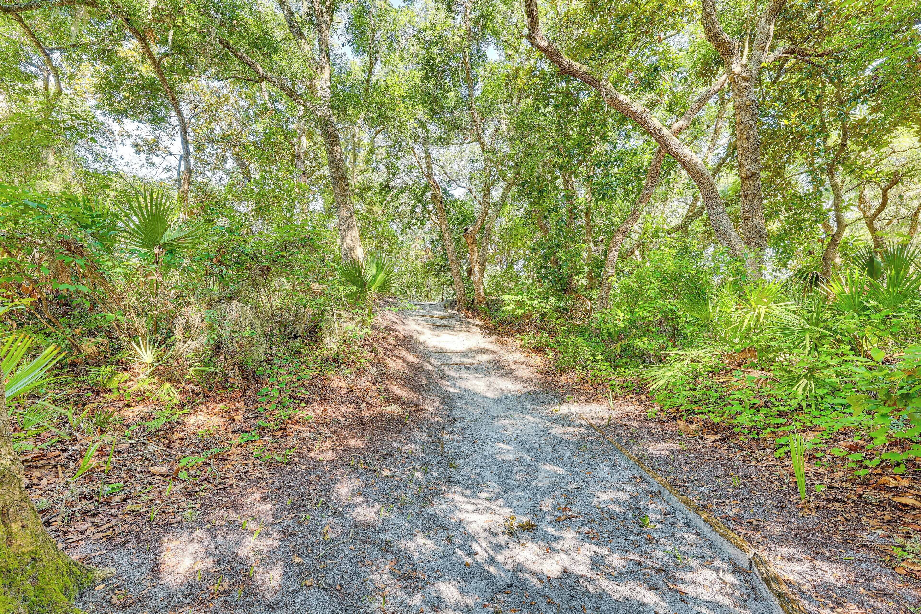 A forested path with dense foliage and trees.