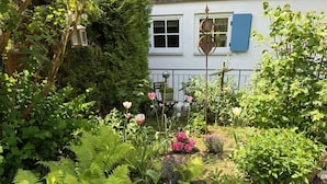 Un jardin avec différentes espèces de plantes et un bâtiment blanc aux volets bleus.