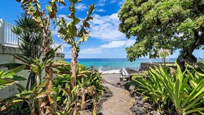 A pathway leading to a beach with tropical plants and a view of the ocean. - Hale Lani:Direct Oceanfront Massive Pool, Gated, Remodeled Beauty (KAILUA KONA)