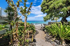 Beach - Hale Lani:Direct Oceanfront Massive Pool, Gated, Remodeled Beauty (KAILUA KONA)