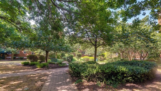 Un sentier pavé aménagé dans un espace verdoyant, agrémenté d’arbres et d’arbustes.