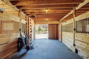 House (4 Bedrooms) | Interior - Remote Idaho Mountain Lodge w/ River Access! (Challis)