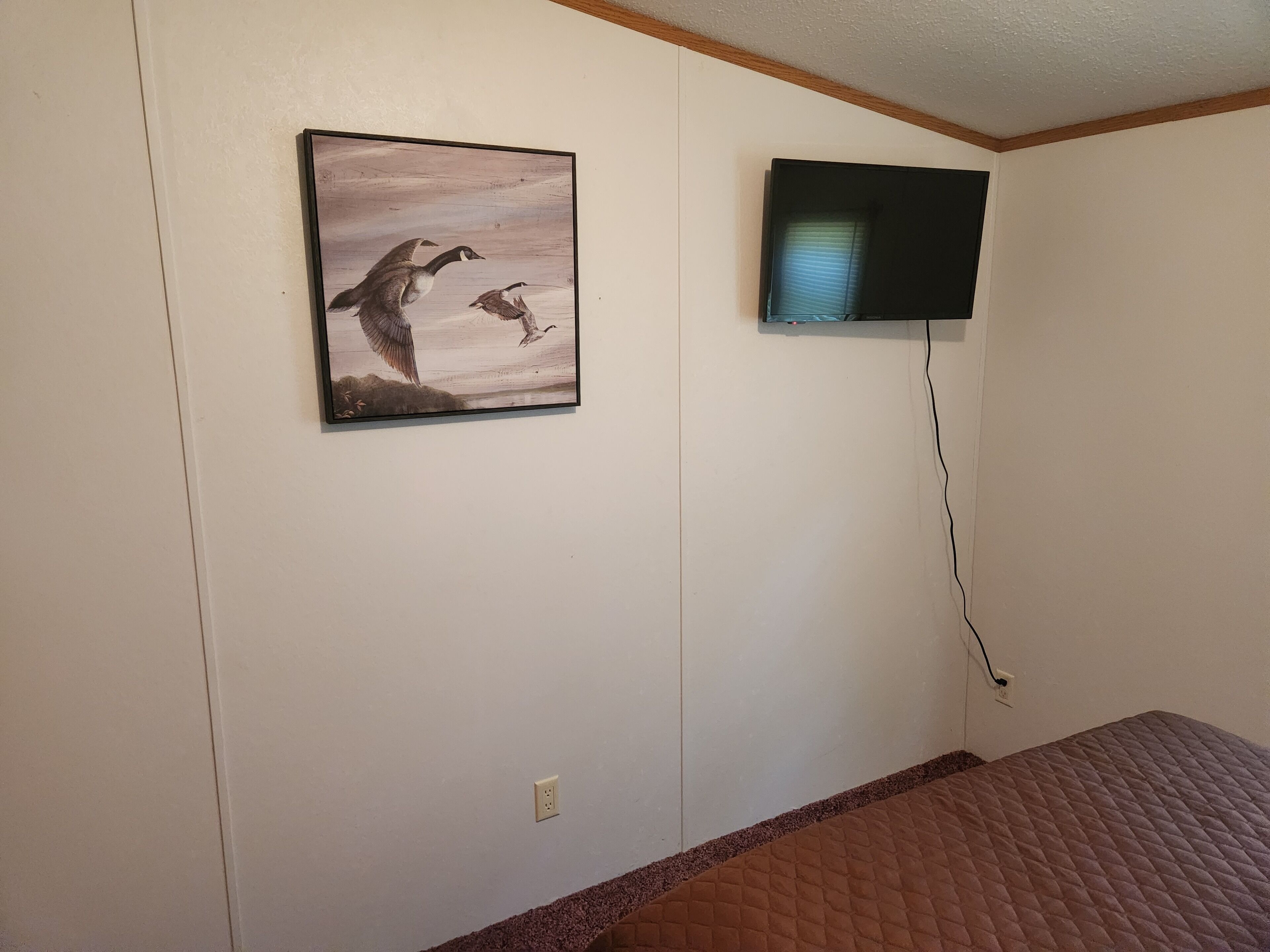 Una habitación con una cama, un televisor montado en la pared y un cuadro de pájaros.
