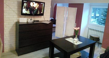 Beautiful, Quite and Modern Flat, Near the Nature and Railway Station