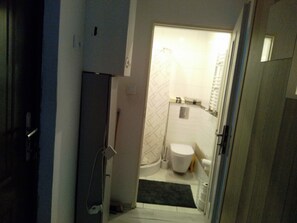 Shower, towels, soap, toilet paper