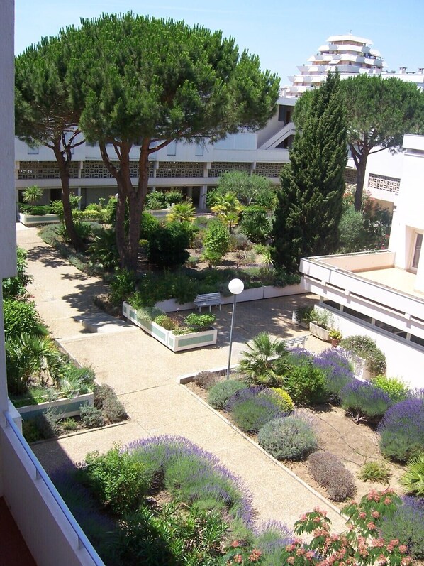 A courtyard with various plants, trees, and a building with multiple balconies in the background.