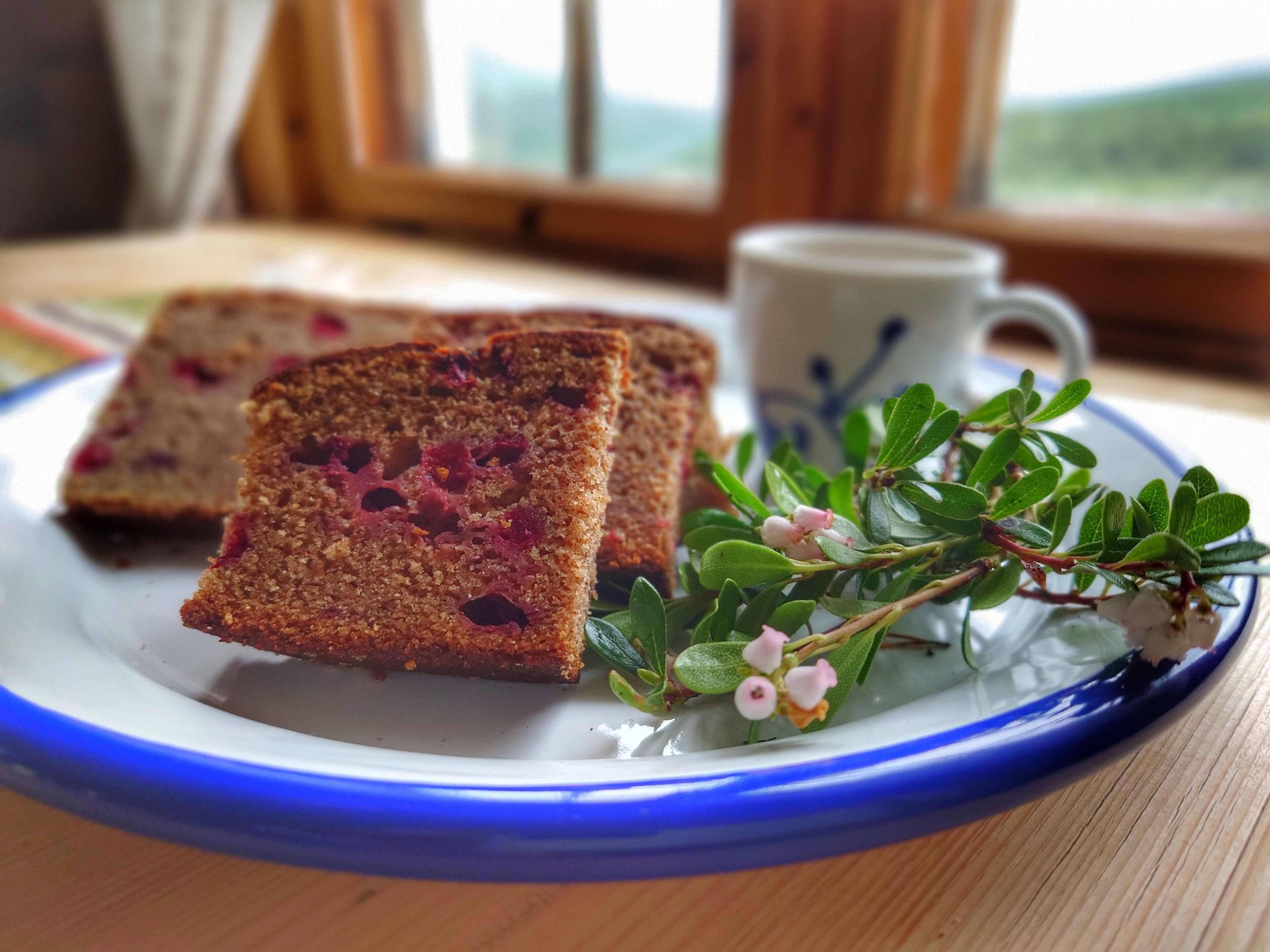 A slice of cake with berries on a plate, a cup, and some greenery.