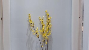 아파트 | 내부