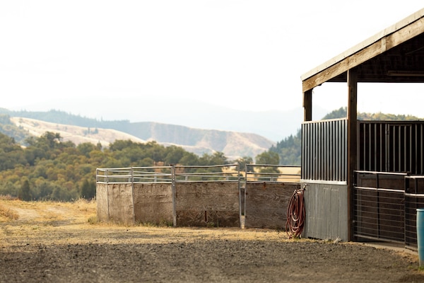 Àrea exterior de l'allotjament