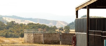the Bunkhouse coyote- Private Studio Retreat Room