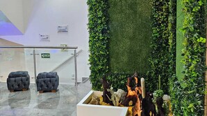 Un hall con una pared verde, una jardinera blanca con cactus y asientos tapizados en gris.