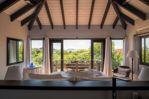 5 bedrooms, desk, iron/ironing board, WiFi - New Luxury 5 Bedroom Villa All En-Suite  *Breakfast Included* (Virgin Gorda)