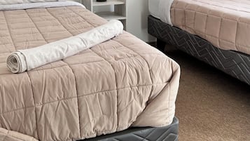 Basic Twin Room