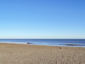 Vissen