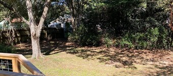 Charming 3-bedroom house in midtown Hattiesburg 