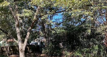 Charming 3-bedroom house in midtown Hattiesburg