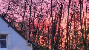 Ein Haus mit überdachter Terrasse, einem Fenster und einem Garten.