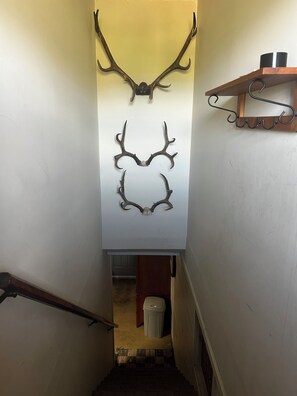 Interior - Rustic Riverfront Studio on the White River & OHV trail outside of Meeker w/WiFi (Meeker)