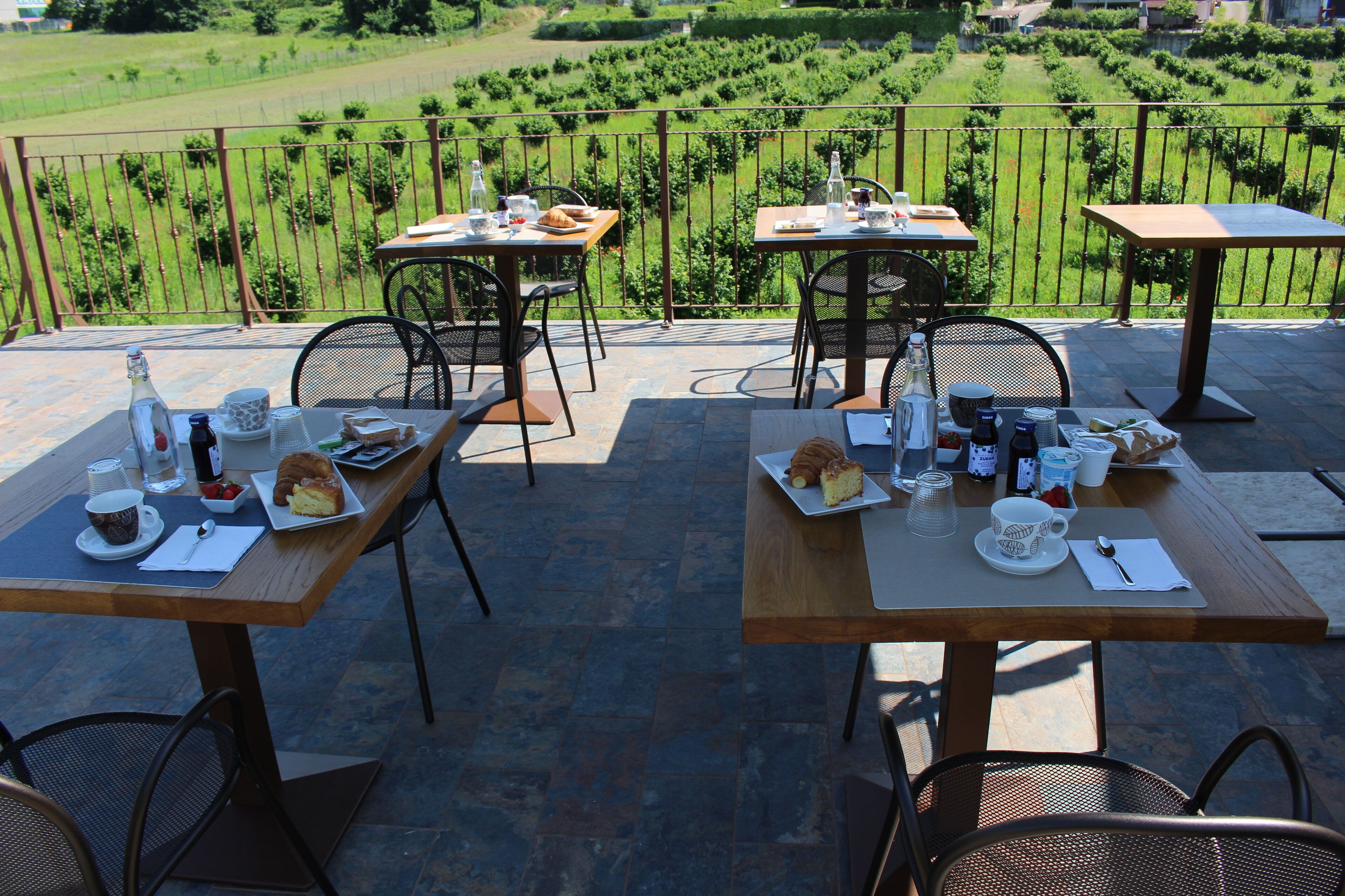Deluxe-Vierbettzimmer, Blick auf den Weinberg | Terrasse/Patio