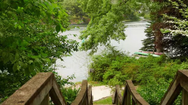 Eine Holztreppe führt zu einem Fluss, der von üppigem Grün umgeben ist.