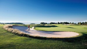 جولف