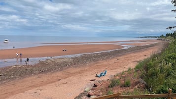Plage, chaises longues, serviettes de plage