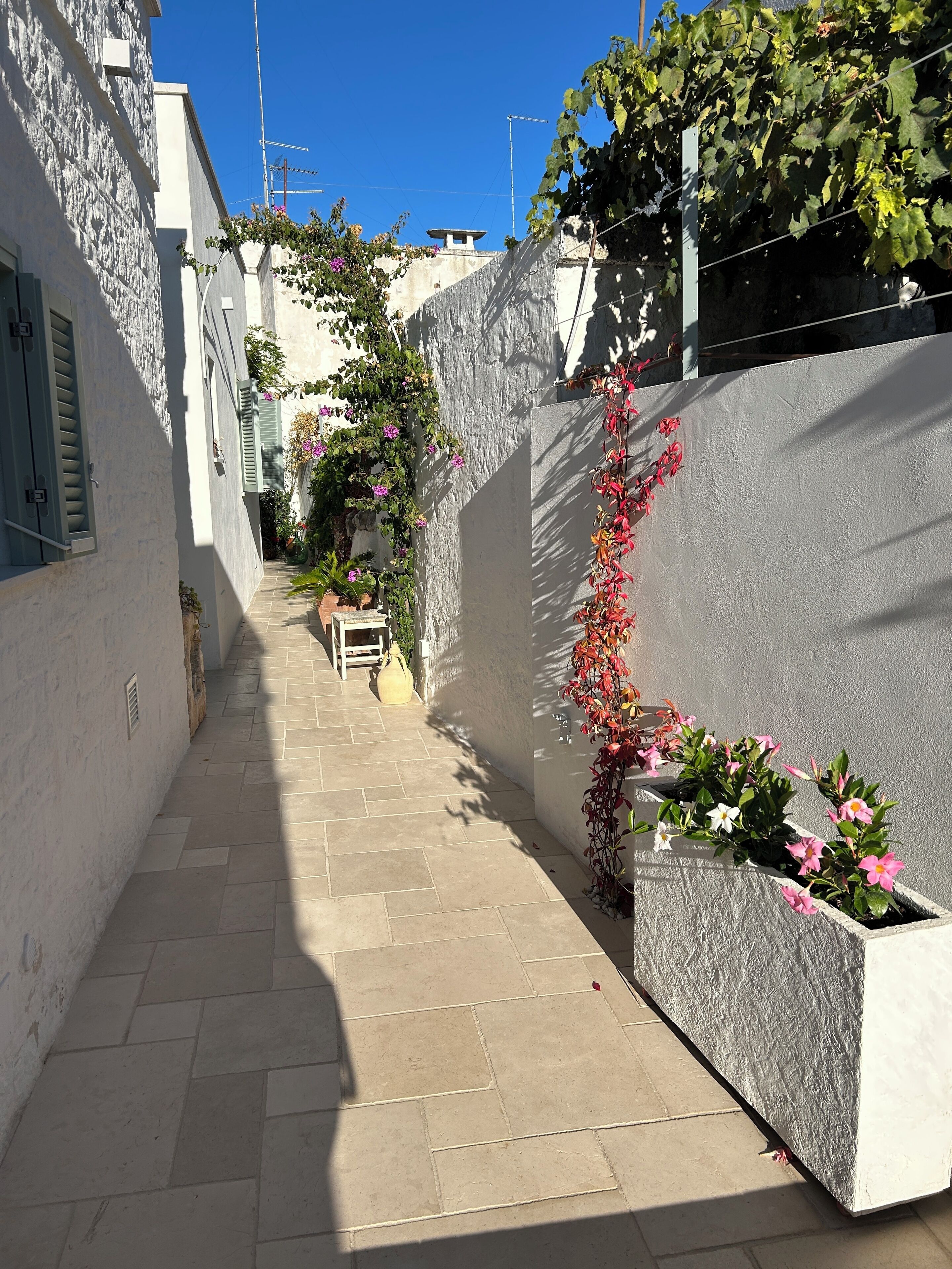 A narrow alleyway with a tiled floor, white walls, and a large planter with flowers.