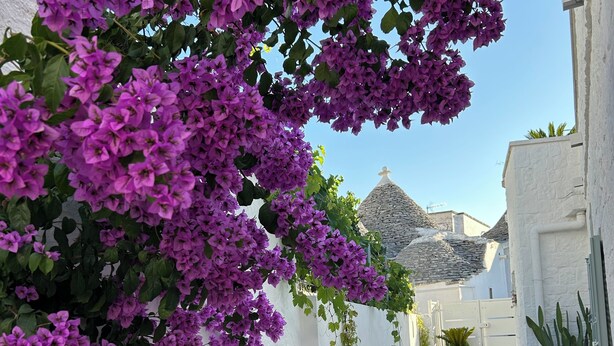 A narrow pathway flanked by white walls with purple bougainvillea vines. A stone roofed structure is visible in the background. - Montesanto 60 Suite & Relax Alberobello (Alberobello)