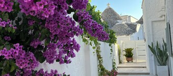 Montesanto 60 Suite & Relax Alberobello