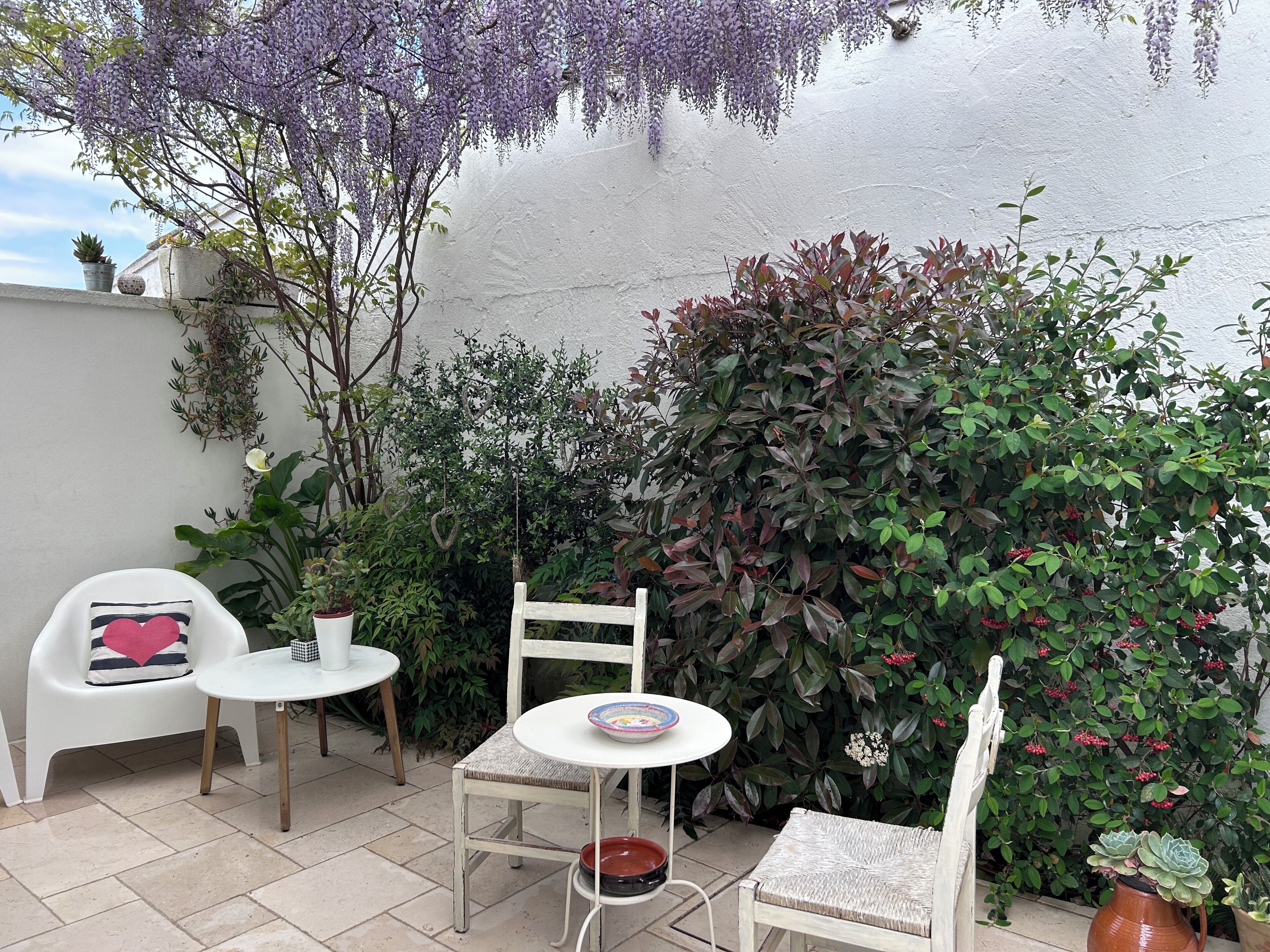 豪華開放式客房, 花園景 | 埃及棉床單、高級寢具、羽絨被、記憶棉床墊