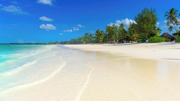 A beach with clear turquoise water, palm trees, and a thatched-roof hut. - Villa Lala (Kiwengwa)